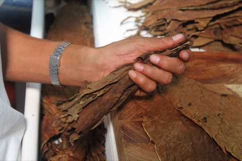 A roller selecting wrapper leaf by hand