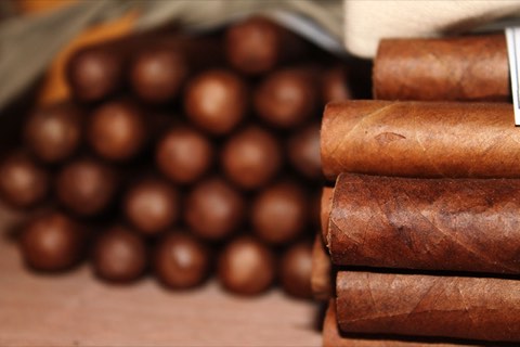 Cigars laid in neat rows