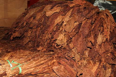 A bale of cured, fermented tobacco