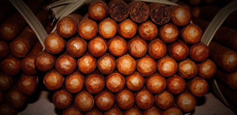 A bundle of finished cigars, feet forward